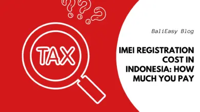 iPhone Bea Cukai Bukan Sekadar Impor, Ini Biaya, IMEI, Dan Risikonya