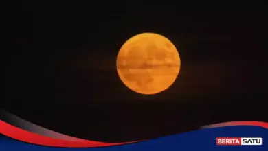 Strawberry Moon Masih Terlihat Malam Ini, Purnama Terang yang Ternyata Micromoon