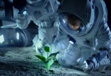 3 Alasan Ilmiah Alien Belum Datang ke Bumi, Ternyata Bukan Karena Mereka Tidak Ada