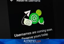 Reserve Username WhatsApp Dibuka, Begini Cara Klaim Nama Sebelum Habis