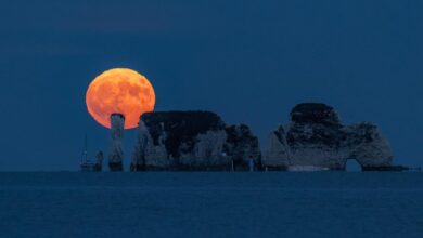 Strawberry Moon Juni 2026 Puncak Pagi Buta, Masih Bisa Dinikmati Malam Sebelumnya