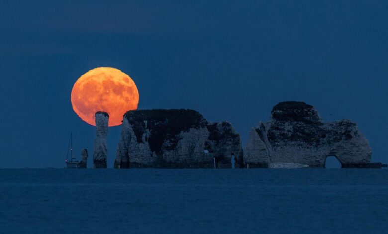 Strawberry Moon Juni 2026 Puncak Pagi Buta, Masih Bisa Dinikmati Malam Sebelumnya