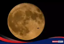 Jepang Mau Pasang Panel Surya di Bulan, Bumi Tinggal Terima Listrik Tanpa Henti