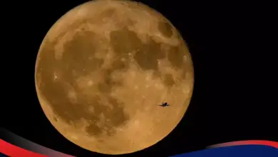 Jepang Mau Pasang Panel Surya di Bulan, Bumi Tinggal Terima Listrik Tanpa Henti