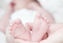 Gelombang Panas Prancis Merenggut Bayi Kembar 15 Bulan, Orang Tua Ditangkap Usai Temuan Tragis