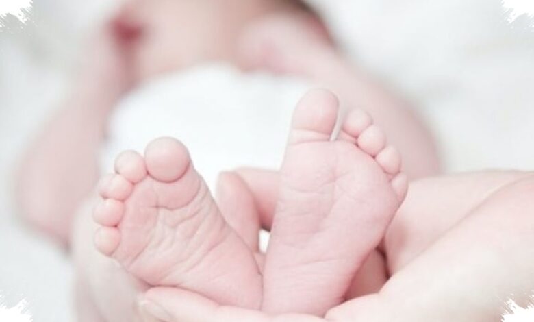 Gelombang Panas Prancis Merenggut Bayi Kembar 15 Bulan, Orang Tua Ditangkap Usai Temuan Tragis