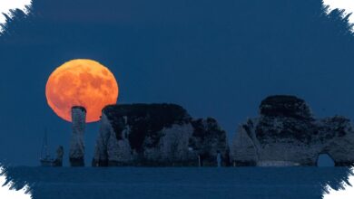 Strawberry Moon 30 Juni 2026, Bulan Purnama Ini Bisa Dilihat Sepanjang Malam