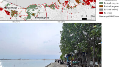 Bocah Kage Bunshin di Google Maps, Ternyata Efek Kamera 360 di Kampung Pesisir Demak