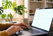 5 Website Freelance Terbaik untuk Orang Indonesia, Mana yang Paling Menguntungkan Pemula?