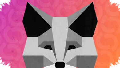 MetaMask Rilis Money Account Di Monad, Dompet Kripto Kini Bisa Hasilkan Yield