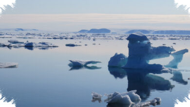 Gunung Es Greenland Mencair Lebih Cepat, Ekosistem Laut Dalam Ikut Berubah