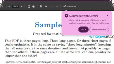 Chrome Sedang Uji Ringkasan PDF Instan, Baca Dokumen Panjang Tanpa Keluar Browser