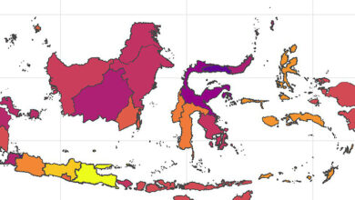 RUU PFII Dikebut Demi Modal Asing, Indonesia Siapkan Zona Hukum Berbeda Dari Nasional