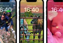 Pixel Akhirnya Menyusul iPhone, Wallpaper Favorit Kini Bisa Berganti Otomatis