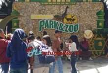 Jabar Raih Penghargaan Wisata Ramah Muslim OIC, Ekosistem Halal Makin Diakui Dunia