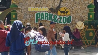 Jabar Raih Penghargaan Wisata Ramah Muslim OIC, Ekosistem Halal Makin Diakui Dunia