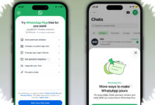 WhatsApp Plus Rp 13.900 Bikin Gratisan Terlihat Terbatas, Ini Bedanya yang Paling Kerasa