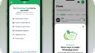 WhatsApp Plus Rp 13.900 Bikin Gratisan Terlihat Terbatas, Ini Bedanya yang Paling Kerasa