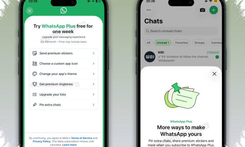 WhatsApp Plus Rp 13.900 Bikin Gratisan Terlihat Terbatas, Ini Bedanya yang Paling Kerasa