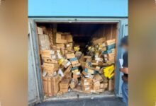 Cargo Theft Makin Melonjak, Dock Tesla Ternyata Jadi Target Paling Mudah