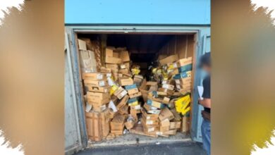 Cargo Theft Makin Melonjak, Dock Tesla Ternyata Jadi Target Paling Mudah