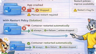 Saya Hapus Container Docker Paling Penting Saya, Begini Cara Saya Menghidupkannya Lagi