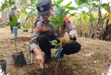 Naik Pangkat Disertai Menanam 10.380 Pohon, Jejak Kepedulian Polda Jateng di Seluruh Jawa Tengah