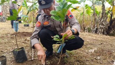 Naik Pangkat Disertai Menanam 10.380 Pohon, Jejak Kepedulian Polda Jateng di Seluruh Jawa Tengah