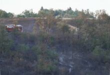 Prancis Diserbu Api, 700 Hektare Lahan Hangus Saat Cuaca Ekstrem