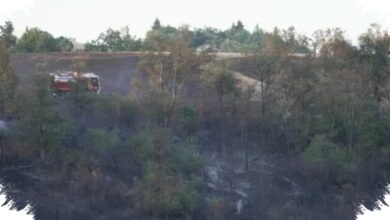Prancis Diserbu Api, 700 Hektare Lahan Hangus Saat Cuaca Ekstrem