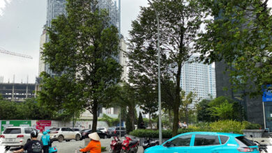 VinFast Pasang Taruhan Besar di Indonesia, 2.900 SPKLU Siap dan Ngecas Gratis Sampai 2029