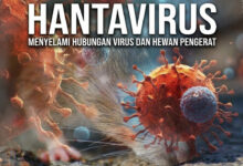 WHO Nyatakan Wabah Hantavirus Berakhir, Tak Ada Kasus Baru di MV Hondius