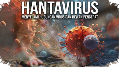 WHO Nyatakan Wabah Hantavirus Berakhir, Tak Ada Kasus Baru di MV Hondius