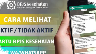 Cara Cek BPJS Kesehatan Gratis Lewat HP, Nama Anda Bisa Langsung Ketahuan Aktif atau Tidak