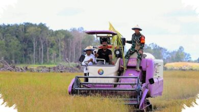 Mentan Amran Sebut Petani Merauke Makin Sejahtera, Tas Mereka Kini Berisi iPhone
