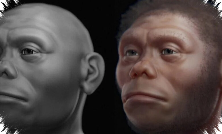 Homo Floresiensis Diduga Bukan Pemburu Stegodon, Komodo Lebih Dulu Menguasai Bangkai