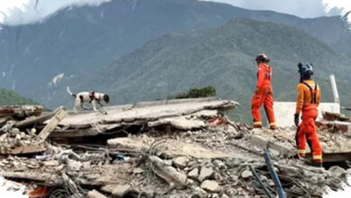 Dua Anjing Pelacak Menyisir 500 Gedung di Zona Gempa Venezuela, Pencarian di Tengah Panas dan Reruntuhan