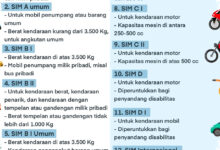 SIM Bukan KTP, Telat Perpanjang Sehari Saja Bisa Bikin Anda Harus Urus dari Awal