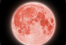 Strawberry Moon Bukan Berwarna Stroberi, Ini Alasan Bulan Juni Sering Tampak Merah