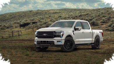Ford Uji F-150 Platinum Pakai Beruang 363 Kg, Atraktif tapi Celah Pencurian Modern Belum Terjawab