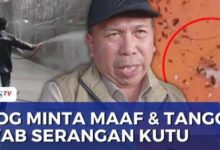 Kutu Beras Dari Gudang Bulog Ganggu Warga Karawang, Bulog Minta Maaf dan Siap Bertanggung Jawab