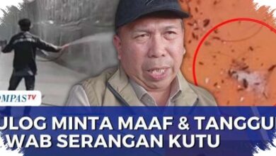 Kutu Beras Dari Gudang Bulog Ganggu Warga Karawang, Bulog Minta Maaf dan Siap Bertanggung Jawab