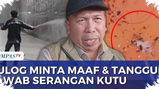 Kutu Beras Dari Gudang Bulog Ganggu Warga Karawang, Bulog Minta Maaf dan Siap Bertanggung Jawab