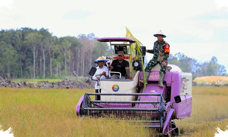 Rp 1,33 Triliun Digelontorkan ke Papua Selatan, Merauke Didorong Jadi Lumbung Pangan Timur