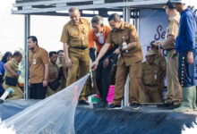 Tambak Udang Closed System Pemprov Jateng Panen 1,3 Ton, Bukti Revitalisasi Tambak Modern Berhasil