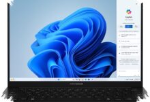 Asus ZenBook 14 Ini Sulit Diabaikan, Layar OLED dan Ryzen AI 7 Turun Harga Tajam