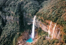 Jembatan Akar Hidup Meghalaya, 5 Fakta yang Bikin Takjub Tentang Kekuatan Alamnya