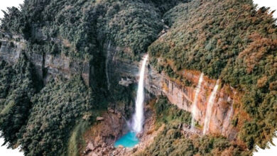Jembatan Akar Hidup Meghalaya, 5 Fakta yang Bikin Takjub Tentang Kekuatan Alamnya
