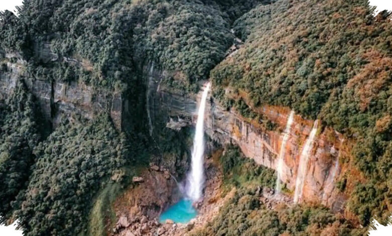Jembatan Akar Hidup Meghalaya, 5 Fakta yang Bikin Takjub Tentang Kekuatan Alamnya