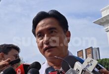 Yusril Buka Jalan Investigasi Komnas HAM, Jejak Penembak Ibu Hamil Diungkap di Papua
